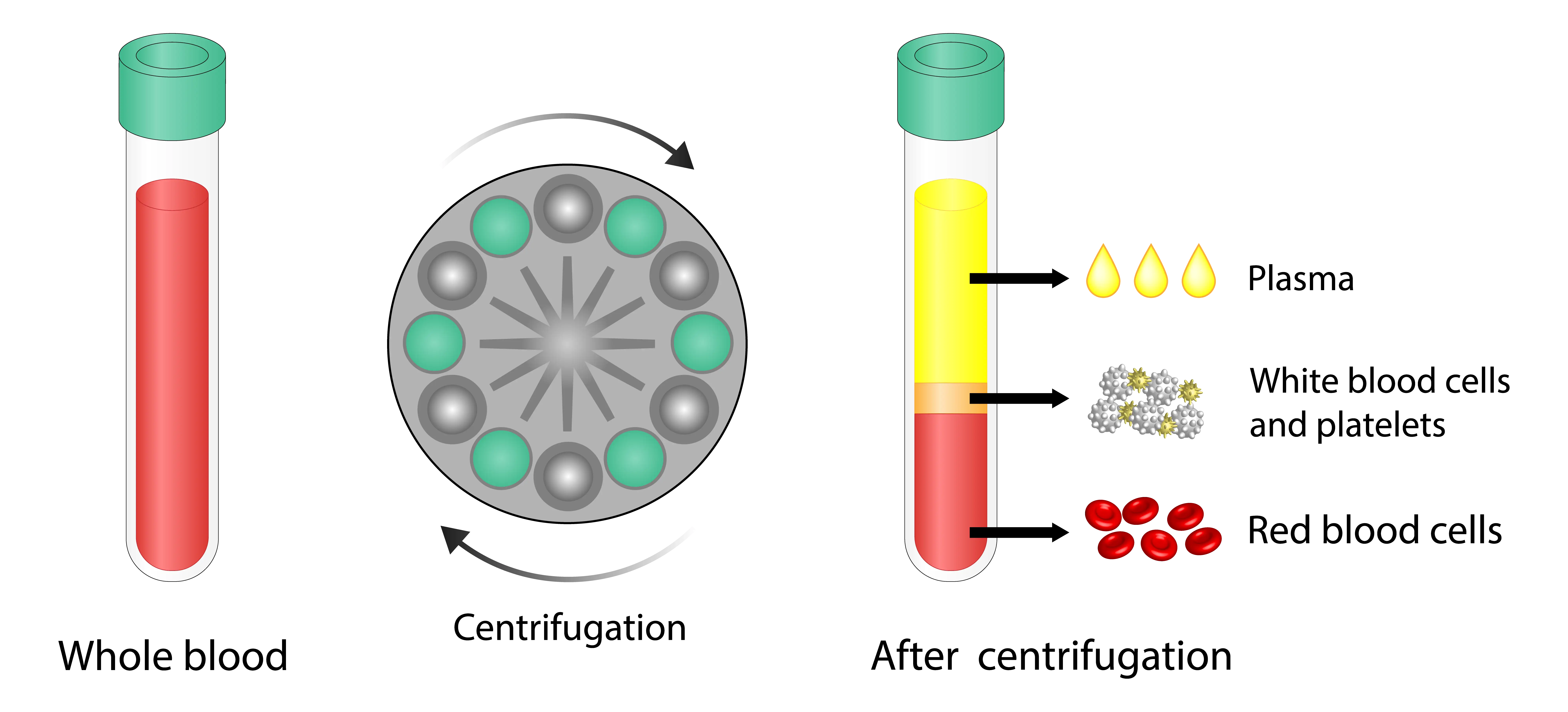 PRP Graphic